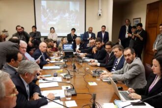 Disputa en Congreso por cuotas de extracción de merluza común