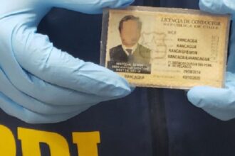 Nuevo ley contra licencias falsas fortalece medidas y controles médicos