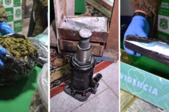 Incautación histórica en Aysén: desmantelan laboratorio y decomisan drogas valuadas en $475 millones