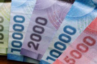 IPS entrega Bono Dueña de Casa de $450.000 a mujeres chilenas: Verifica si eres beneficiaria