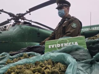 Operativo policial en Coquimbo: detenidos y decomisan 800 kilos de marihuana