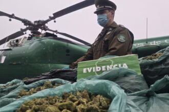 Operativo policial en Coquimbo: detenidos y decomisan 800 kilos de marihuana