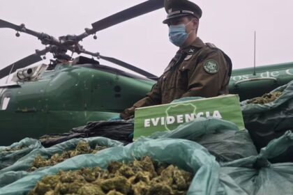 Operativo policial en Coquimbo: detenidos y decomisan 800 kilos de marihuana