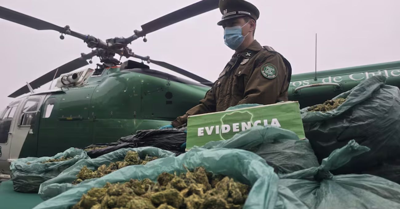 Operativo policial en Coquimbo: detenidos y decomisan 800 kilos de marihuana