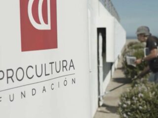 Encuesta Cadem: Mayoría desaprueba gestión de la Fiscalía en caso ProCultura