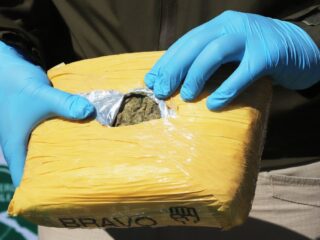 Incautación récord: 350 kilos de marihuana en Chimbarongo