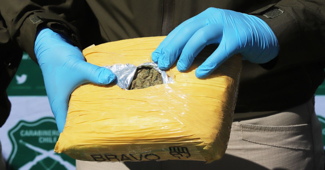 Incautación récord: 350 kilos de marihuana en Chimbarongo