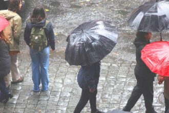 Pronóstico de Jaime Leyton para este martes: Cielos cubiertos, ambiente templado y lluvias en el sur
