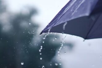Potente temporal con lluvias y vientos afectará al sur de Chile: advierten posibles deslizamientos y crecida de ríos