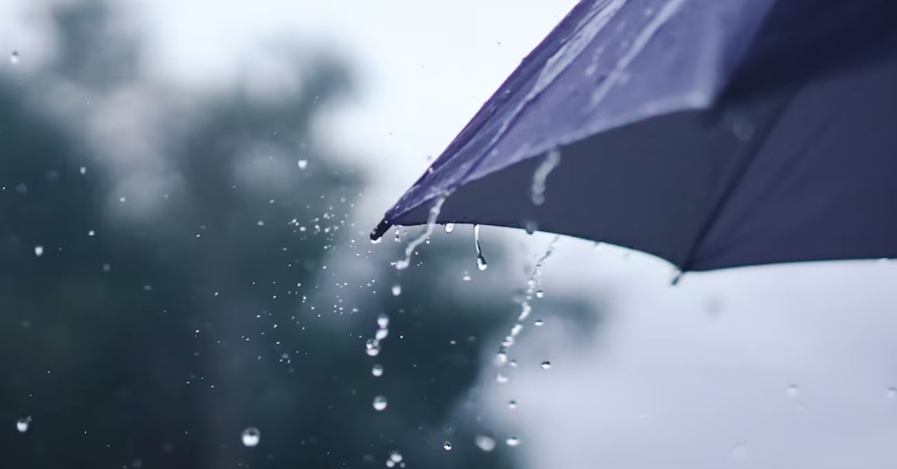 Potente temporal con lluvias y vientos afectará al sur de Chile: advierten posibles deslizamientos y crecida de ríos