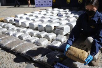 Desbaratan banda que transportaba más de 430 kilos de marihuana a Santiago: Viajaban con niños y bebés para evadir controles