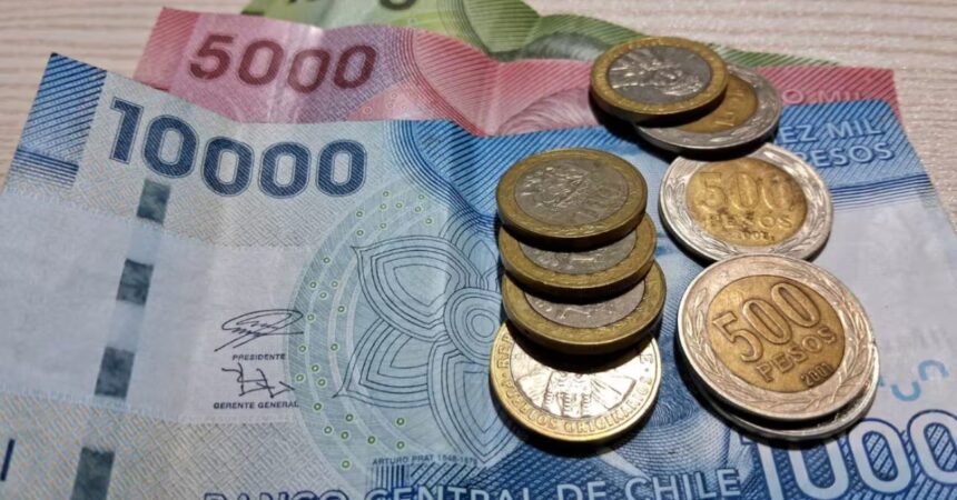 IPS paga $64.000 a personas que cumplan con este requisito: revisa con tu RUT si tienes pendiente el cobro