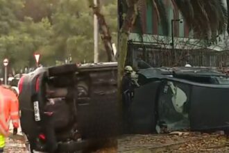 Conductor muere tras chocar contra árbol y volcar en el centro de Santiago: se investigan causas del accidente