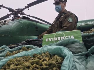 Histórico decomiso de drogas en Coquimbo: Carabineros incauta más de 800 kilos de marihuana en operativo cordillerano
