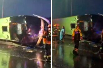 Tragedia en la Ruta 5 Sur: Volcamiento de bus deja al menos dos muertos en San Fernando