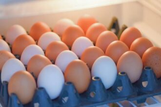 ¿Cuánto duran los huevos en el refrigerador? Revisa las recomendaciones para almacenarlos correctamente