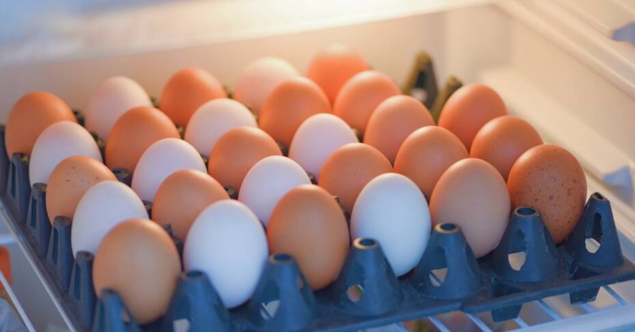 ¿Cuánto duran los huevos en el refrigerador? Revisa las recomendaciones para almacenarlos correctamente