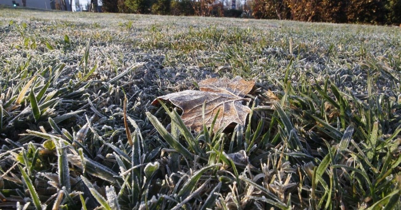 Heladas de Hasta -4°C Afectarán a Cuatro Regiones Este Miércoles: Pronostican Frío Extremo
