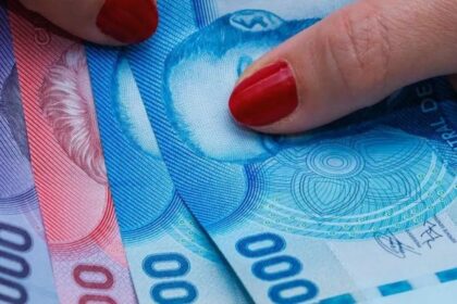 Bono de Protección 2025: ¿Se debe postular al beneficio conocido como "Bono Dueña de Casa"?