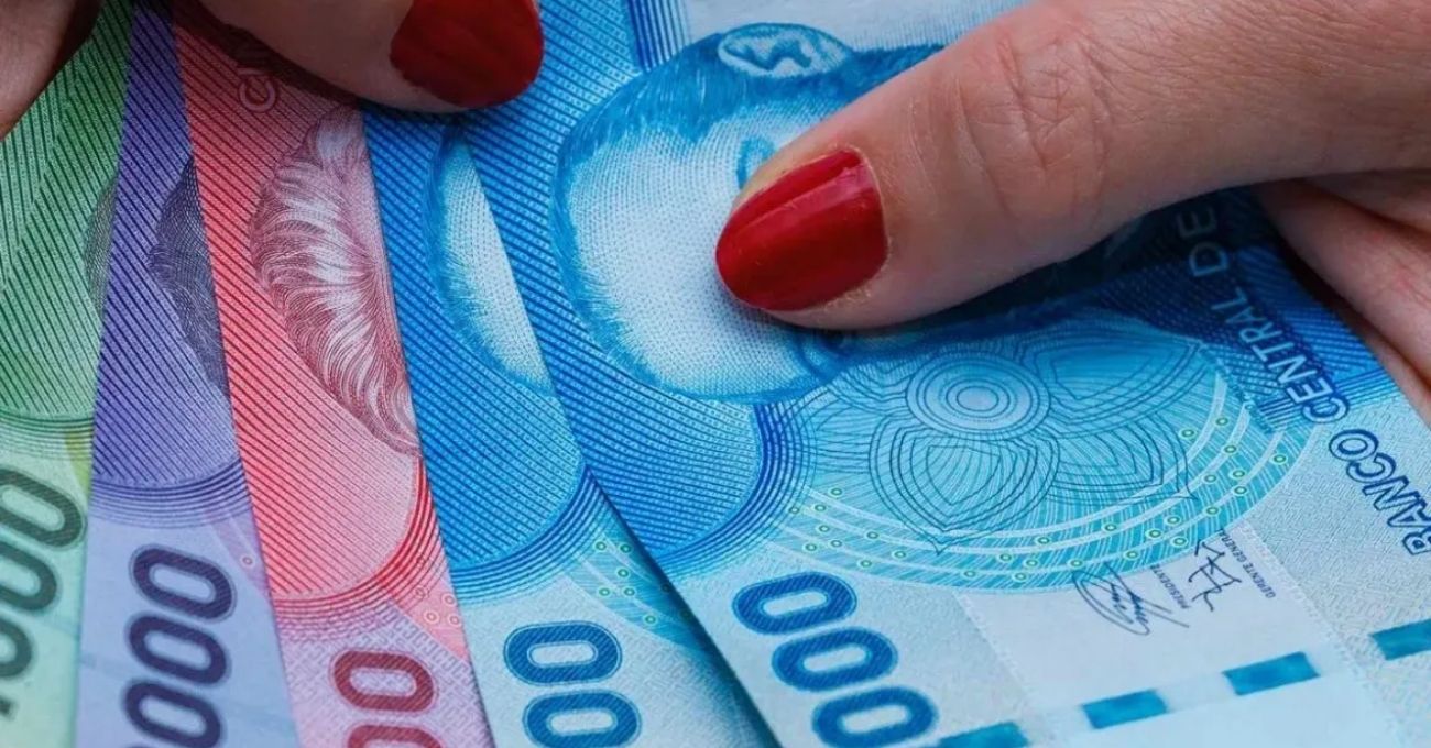Bono de Protección 2025: ¿Se debe postular al beneficio conocido como "Bono Dueña de Casa"?