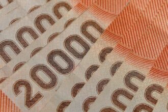 Pensión Garantizada Universal (PGU): esta es la fecha de la próxima alza a $250.000