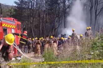 Tragedia aérea sacude a Corea del Sur: Cuatro miembros de la Armada mueren en accidente de avión militar