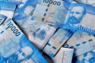 PGU: consulta con tu RUT la fecha de pago correspondiente a mayo