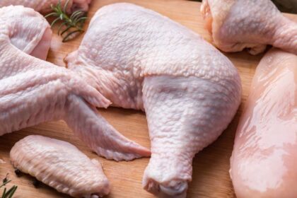Gripe aviar en Brasil provoca alza del pollo en Chile: Ministro anticipa impacto leve pero real