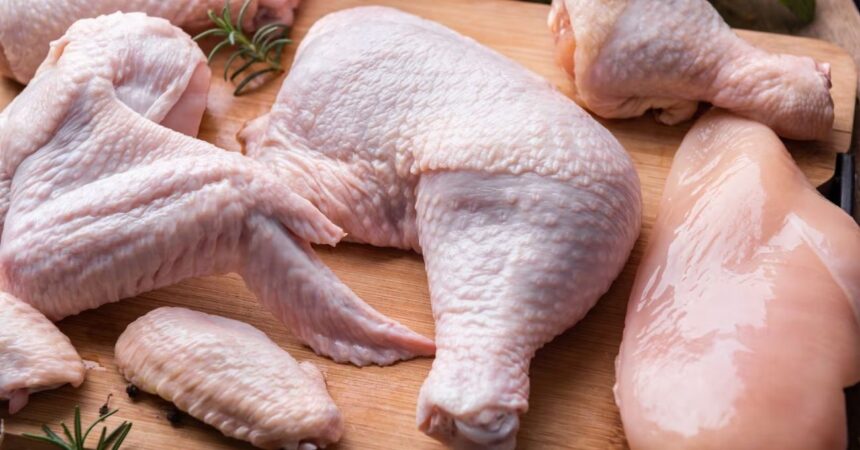 Gripe aviar en Brasil provoca alza del pollo en Chile: Ministro anticipa impacto leve pero real
