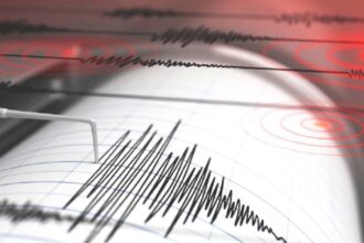 Fuerte sismo de magnitud 7,5 en Puerto Williams: Senapred confirma suspensión de clases y detalla llegada de olas por amenaza de tsunami