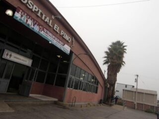 ¿Qué es el hongo Aspergillus? Infección obliga a cerrar pabellones del Hospital El Pino