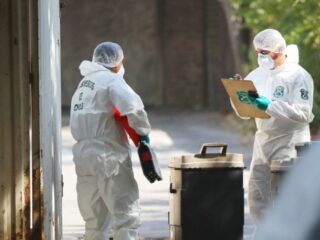 Asesinato en Quilpué: Impactantes Detalles del Crimen de Adulto Mayor