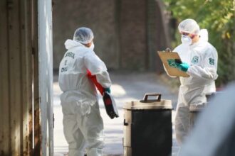 Asesinato en Quilpué: Impactantes Detalles del Crimen de Adulto Mayor