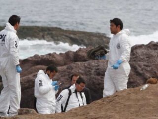 Encuentran restos óseos no identificados en planta pesquera de Coronel: SML trabaja en determinar su origen