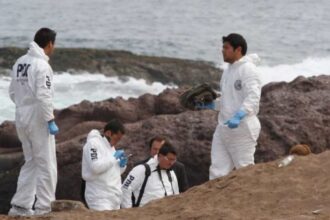 Encuentran restos óseos no identificados en planta pesquera de Coronel: SML trabaja en determinar su origen