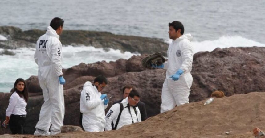 Encuentran restos óseos no identificados en planta pesquera de Coronel: SML trabaja en determinar su origen