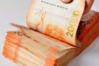 $58.000 del IPS: consulta con tu RUT si ya te depositaron el Bono Base Familiar en mayo
