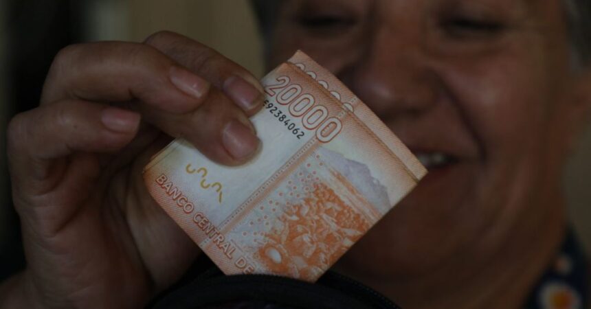 Bono de Protección: Revisa con tu RUT si te corresponde el pago del beneficio