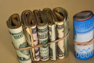 IPS activa bono clave para adultos mayores con cotizaciones en el antiguo sistema previsional