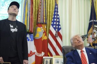 Elon Musk desata una guerra pública contra Donald Trump y lo vincula con el caso Epstein