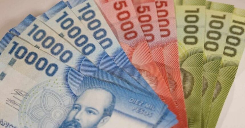 Comenzó junio: Estos son todos los bonos que puedes cobrar este mes
