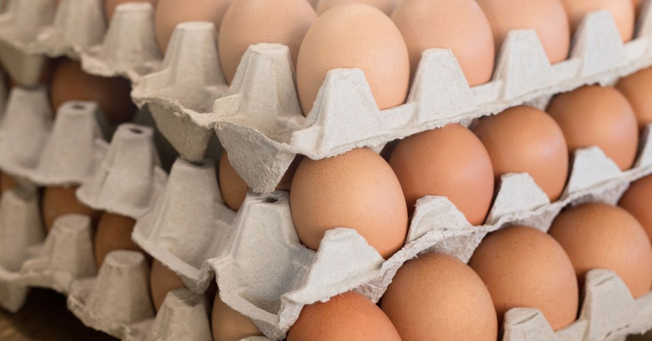 Precio del huevo se dispara en Chile: ¿cuándo volvería a bajar?