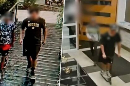 Aumentan los robos en Ñuñoa: banda de "Scooter Chorros" preocupa a vecinos