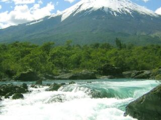 Operativo de rescate en la Reserva Nacional Llanquihue en Chile