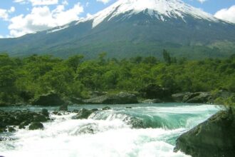 Operativo de rescate en la Reserva Nacional Llanquihue en Chile