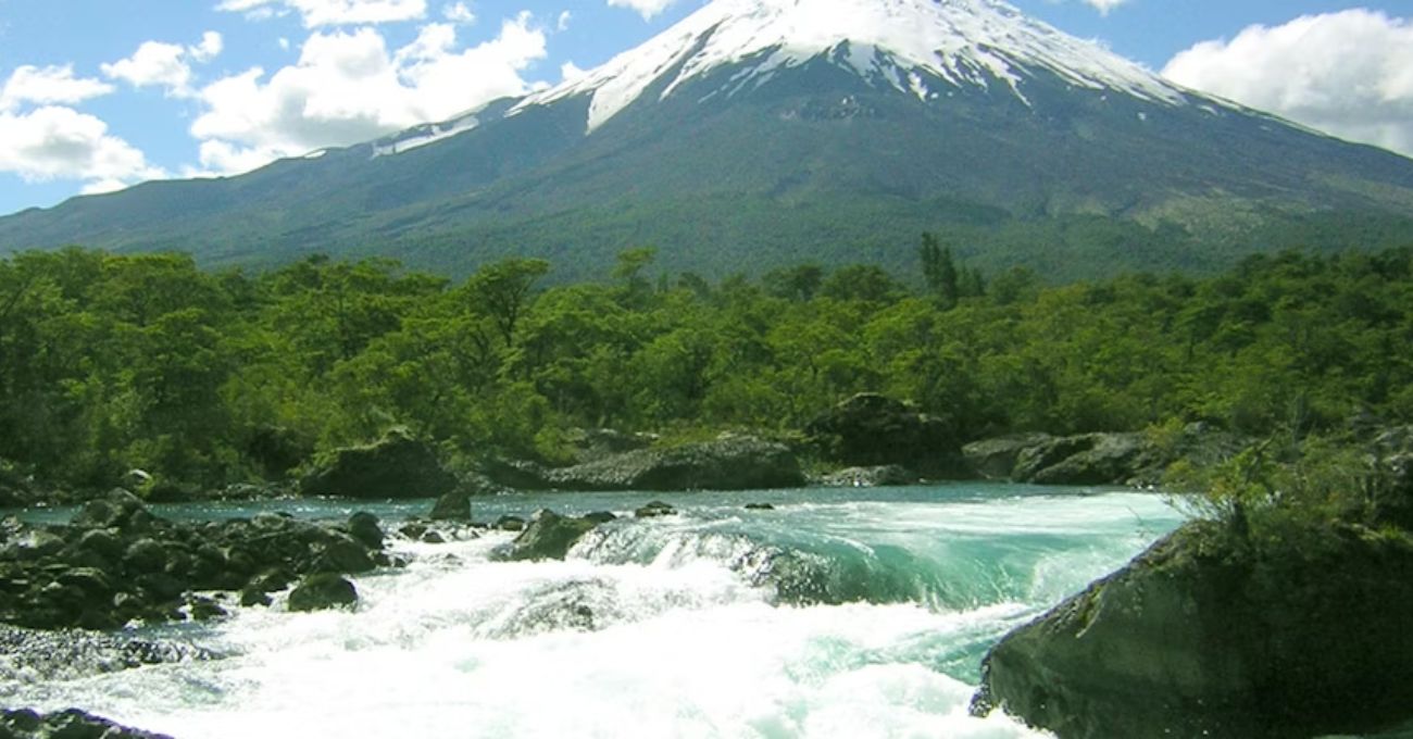 Operativo de rescate en la Reserva Nacional Llanquihue en Chile
