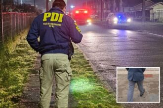 Adolescente formalizado por homicidio de compañero en Puyehue: internación provisoria dictada