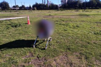 Hallan cadáver en carro de supermercado en Hualpén: décimo homicidio del mes
