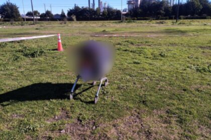 Hallan cadáver en carro de supermercado en Hualpén: décimo homicidio del mes