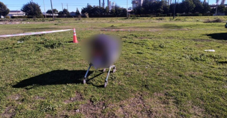 Hallan cadáver en carro de supermercado en Hualpén: décimo homicidio del mes